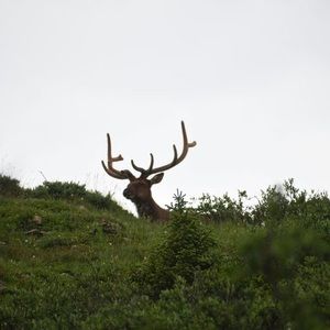 Meet your Posher, Donovan